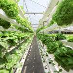 grow generation no. 1 stock buy for next gen farming technology