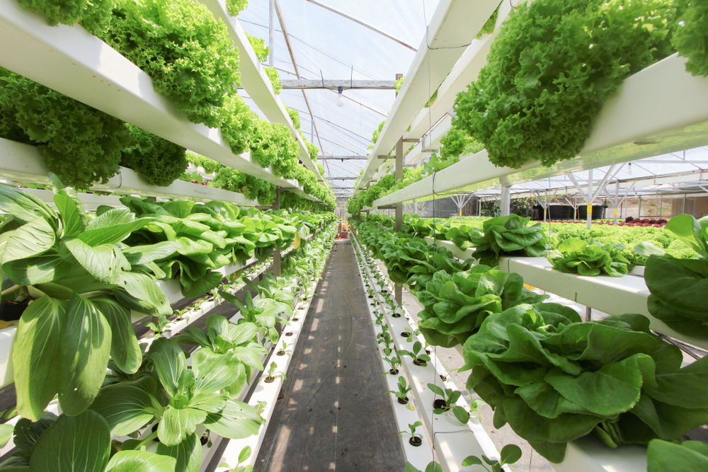 grow generation no. 1 stock buy for next gen farming technology