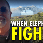 protect your portfolio against political turmoil and fed interruptions