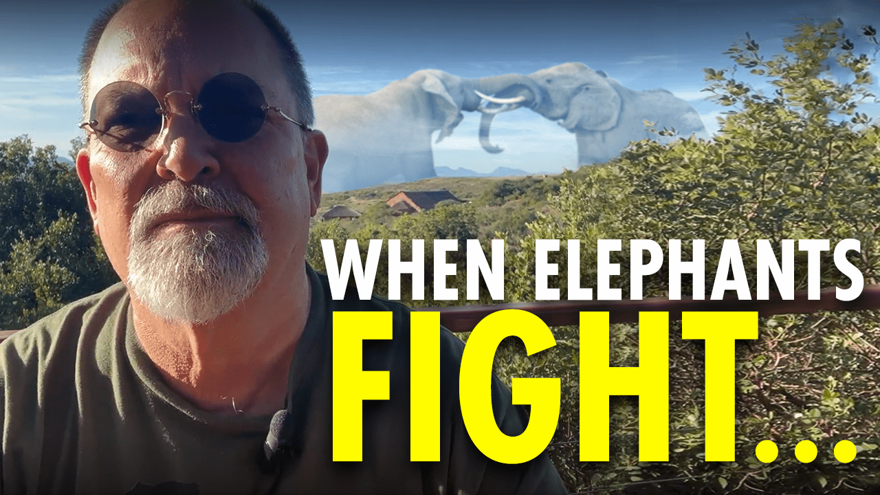 protect your portfolio against political turmoil and fed interruptions