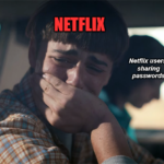 Netflix Stranger Things password sharing meme