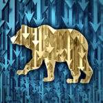 smart investors build their portfolios during bear markets