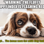 Fluffy puppy index flashing red Chewy earnings meme