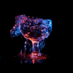 Real Talk videos with Charles Mizrahi