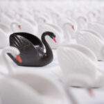 Options Arena: The Next Black Swan