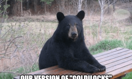 Fed version of Goldilocks ends different meme