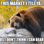 This bear market can't bear it meme