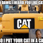 Yo dawg heard you like Cat Caterpillar stock meme