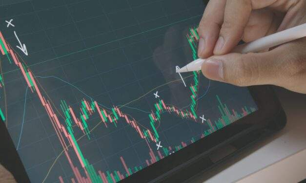 What I Learned From 5 Bear Markets