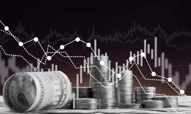 Prelude to a Currency Crisis