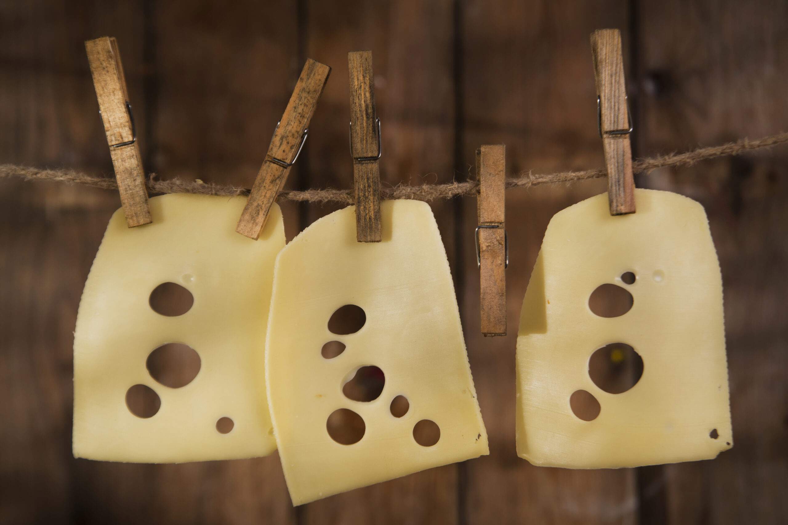 Making Swiss Cheese Out of Economist Ideas