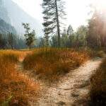 Short-Term Trading: A Moneymaking Path Few Dare to Tread