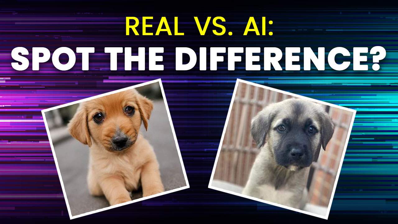 AI: Spot the Difference Survey