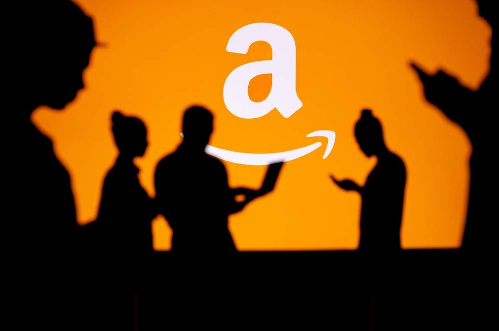 The next amazon: small company with big market edge.