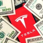 Tesla phone app surrounded by money