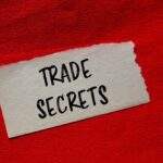 Magnificent 7 Trade Secrets