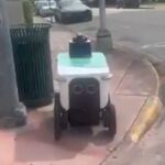 Are delivery robots the harbingers of a robot revolution?
