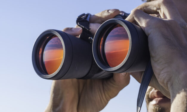 Where To Look Before Everyone Piles In