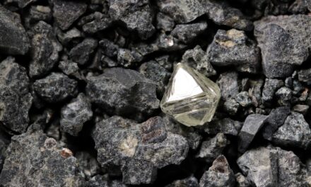 How To Tell a Diamond From a Dud Before the Spike