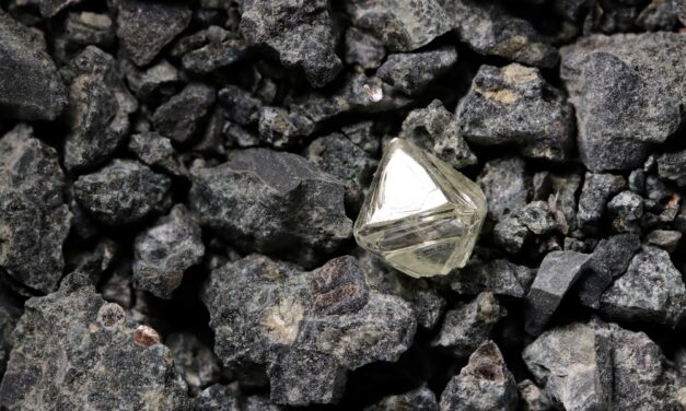 How To Tell a Diamond From a Dud Before the Spike