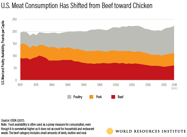 Using cells from livestock, scientists can grow meat in a lab. This is the latest development in science’s disruption of the food industry.