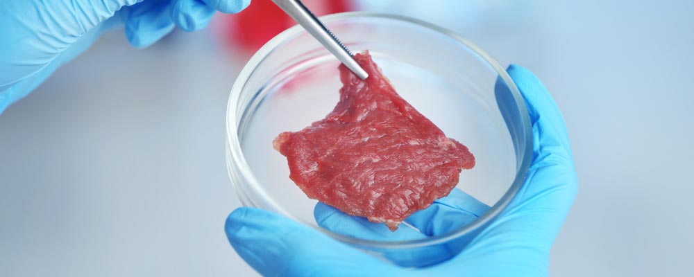 Using cells from livestock, scientists can grow meat in a lab. This is the latest development in science’s disruption of the food industry.